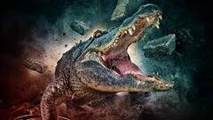Methgator film